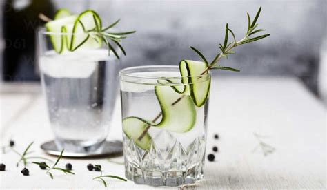 koolhydraten gin tonic light|Wat is de voedingswaarde van gin en tonic .